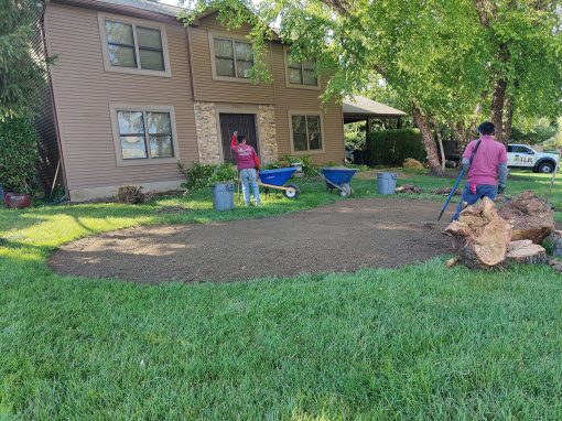 Spring Cleanups